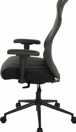 Bürostuhl, Homepro Falkenstein