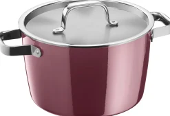 Fleischtopf, Fusiontec Aromatic