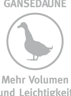 Ganzjahresbettdecke, Galia 90 leicht