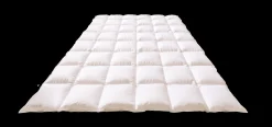 Kauff