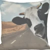 Kissenhülle, Happy Cushion