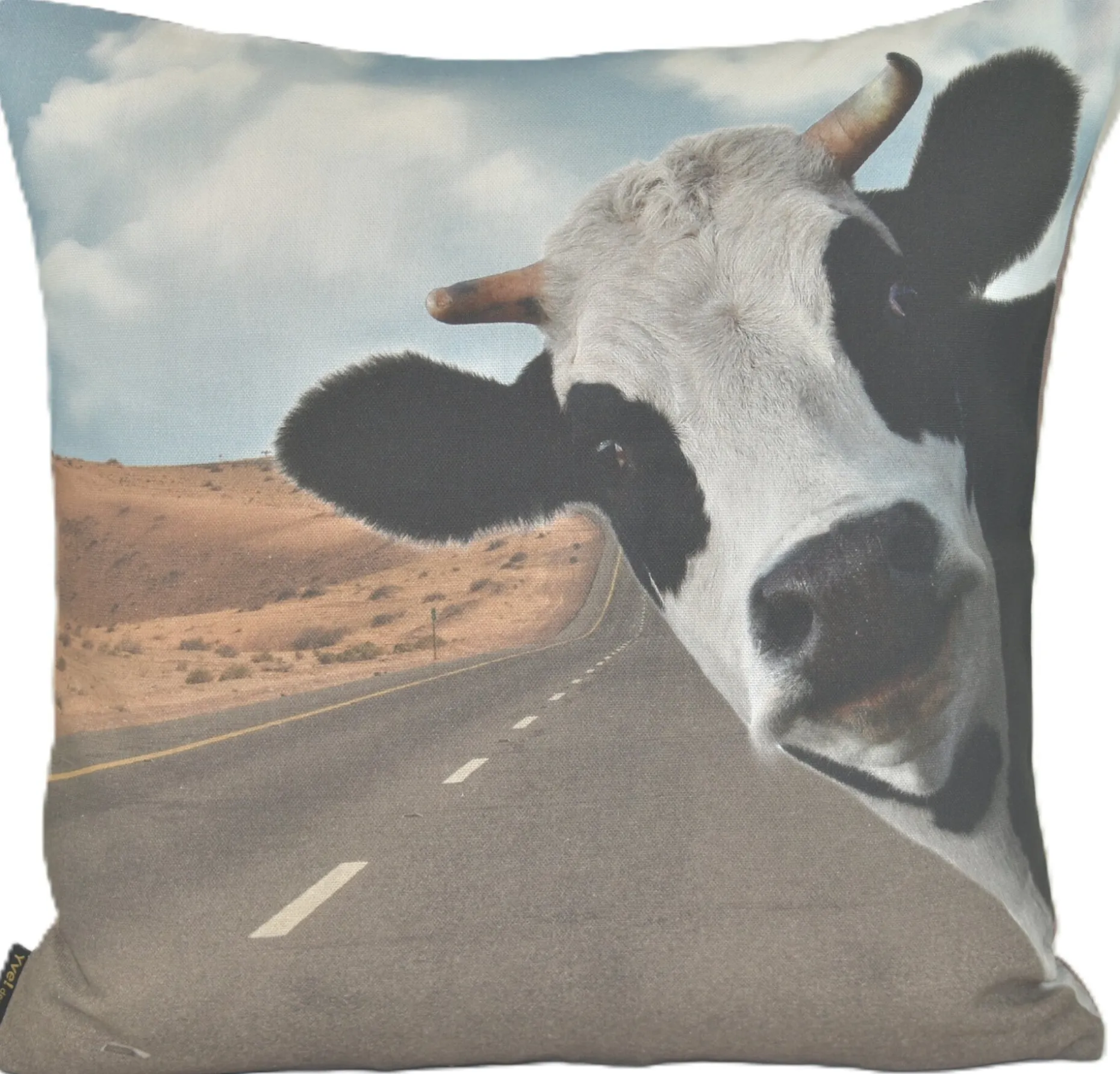 Kissenhülle, Happy Cushion
