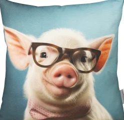 Kissenhülle, Smart Pig