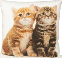 Kissenhülle, Tabby Kitten