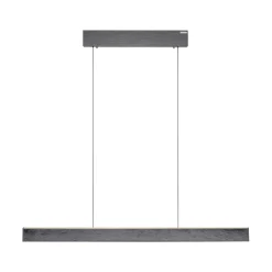 Pendelleuchte, Pure E-Motion