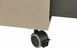 Rollcontainer, Deltona