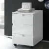 Rollcontainer, Spice