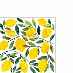 TI Napkin 25x25