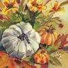 TI Napkin 33x33