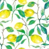 TI Napkin 33x33