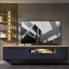 TV-/Wohnlösung, Evo