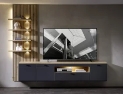 TV-/Wohnlösung, Evo