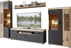 TV-/Wohnlösung, Sina