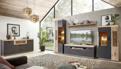 TV-/Wohnlösung, Sina