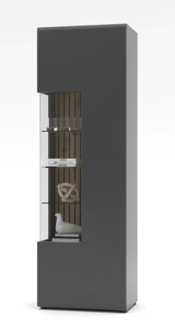Vitrine, Evo