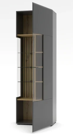 Vitrine, Evo