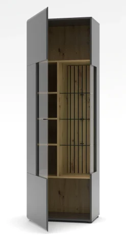 Vitrine, Evo