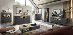 Vitrine, Evo