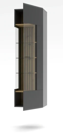 Vitrine, Evo
