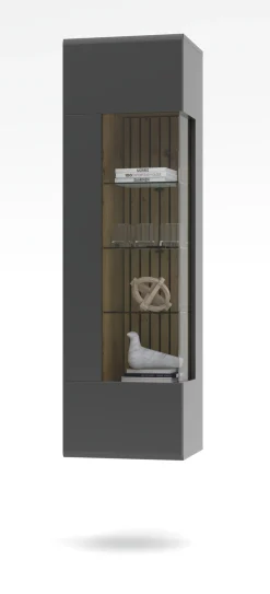 Vitrine, Evo