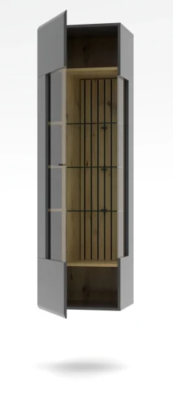 Vitrine, Evo