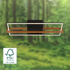 Wand- und Deckenleuchte, Nested