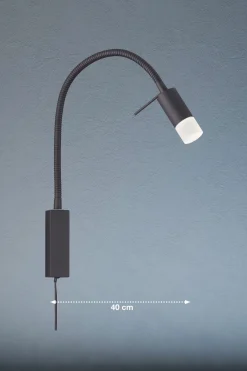Wandspot flex, Seng